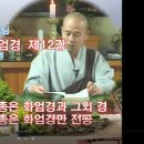 각성스님 강해_화엄경 개요 제12강 / 원효의 화엄종은 화엄경과 그외 경, 의상의 화엄종은 화엄경만 전공했다. 이미지