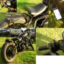 데이스타 이미지