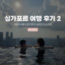 수란슈퍼 | 싱가포르 여행 야쿤토스트부터 마리나베이샌즈 프리미어 더블 퀸룸 가든뷰 후기, 슈퍼트리쇼까지