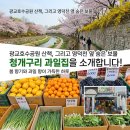 청개구리과일집 - 수원시 장안구 광교산로 132 | 청개구리과일집