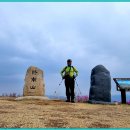 (2022-62)~밀양 종남산 진달래 이미지