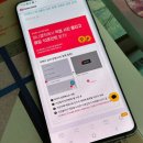 주니퍼니 이미지