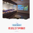 명지대학교 박물관 | 문경 겨울 여행 도자기박물관 체험 경북 실내 가볼만한곳