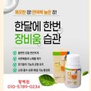 건강리셋지사