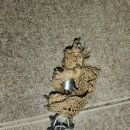 이즈의원 이미지