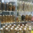 고은햇살 이미지