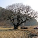 원산마을(술인방) 이미지