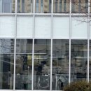 룰루랄라 애견미용실 이미지