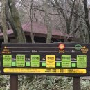 유한회사 오름 이미지