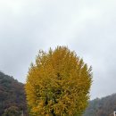 남산초등학교서천분교장 이미지