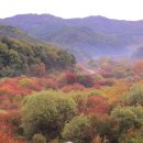 머믄자리 이미지