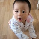 수아상사 이미지