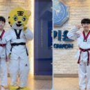 레전드태권도 이미지