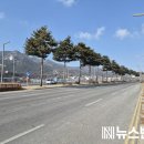 도청대로 이미지