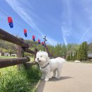 독립-16-04 이미지