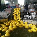 선비골농장 이미지