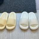 테오트리 이미지
