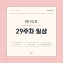 플레로필라테스 | 페이스, 백일해/독감주사, 몸무게 +9.5kg, 손/엉치뼈 통증, 필라테스 체험수업, 출산준비리스트 업데이트)