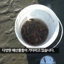 엠제이티 이미지