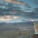 서경행정사사무소 이미지