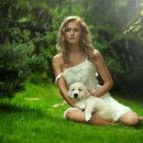 도그시장 이미지