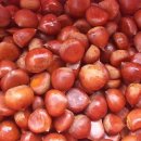 노적애뜰 이미지