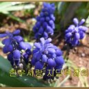 지당목장 이미지