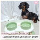 헬로우펫 | 강아지 밥그릇 적당한 높이 애견 도자기 식기 헬로우펫 추천
