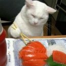 오마카세스시이찌