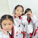 신광태권도 이미지