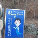 153조경 이미지