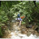 석바대영양탕 이미지