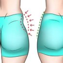 휘트니스링크 이미지