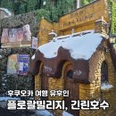 후쿠오카 유후인 유노츠보거리 플로랄빌리지 긴린호수 먹거리 추천 리스트