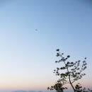 할리스커피스틸랜드점