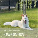 시흥승마힐링체험장 이미지