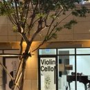 소수집중 바이올린 이미지