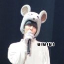 타랑