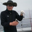 영일1호 이미지