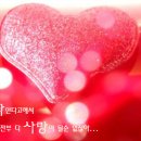 딜리스 - 노원구 공릉로 157 | 딜리스
