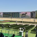 큰맘할매순대국부산구포점 | 렛츠런파크 경마장 즐기기 꿀팁!! 주차, 배팅 방법, 배팅 종류 설명