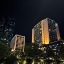 (재)파라다이스복지재단 | [숙소] 내돈내산 부산 5성급 호텔 파라다이스 호텔 부산 해운대 숙소 추천 1탄 :: 신관 오션더블룸 가격...