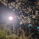 김포롯데몰(레스트인네이처), 편의점 사천왕 마라훠궈탕면으로 마라탕해먹기
