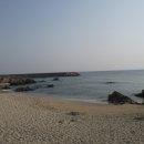 쏠피치 Daum카페