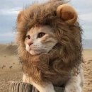 의왕부곡초등학교 이미지