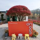 카페온담 이미지