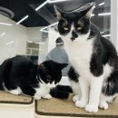 (주)포유 이미지