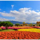황산공원 이미지