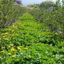 골밭농장 이미지