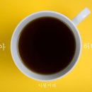 시다모 - 양양군 | 시다모